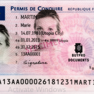 Buy France Driving License Online
