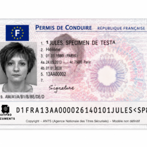 Buy French Driver’s License Online
