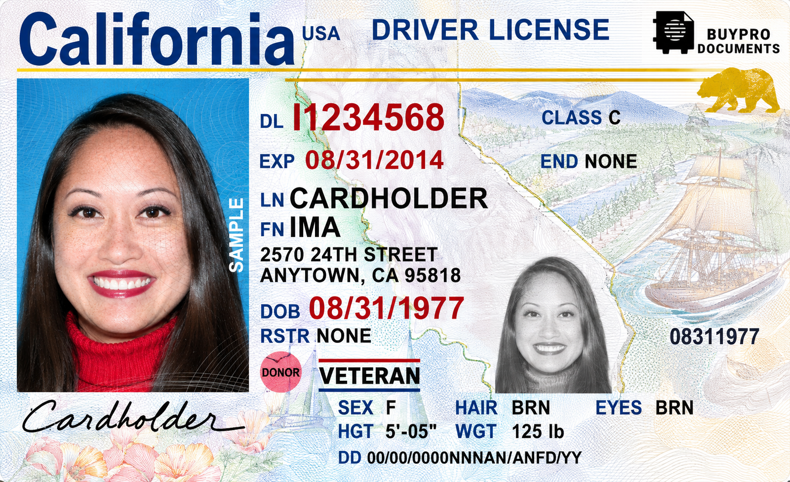 Buy USA Driving License Online Buy USA Driving License Online