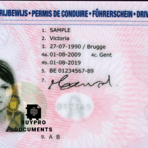 Buy Belgium Driving License Online