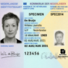 Buy Netherland ID Cards Online