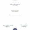 Bachelors Degree Aalborg University