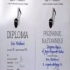 College Degree From Sveucilište Josipa Jurja Strossmayera u Osijeku