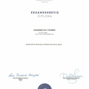 Diploma Degree Aalborg University