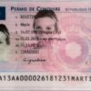 Apply France Driving License