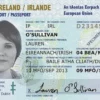 Irish Passport Card Online