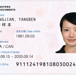 Buy China ID Cards Online